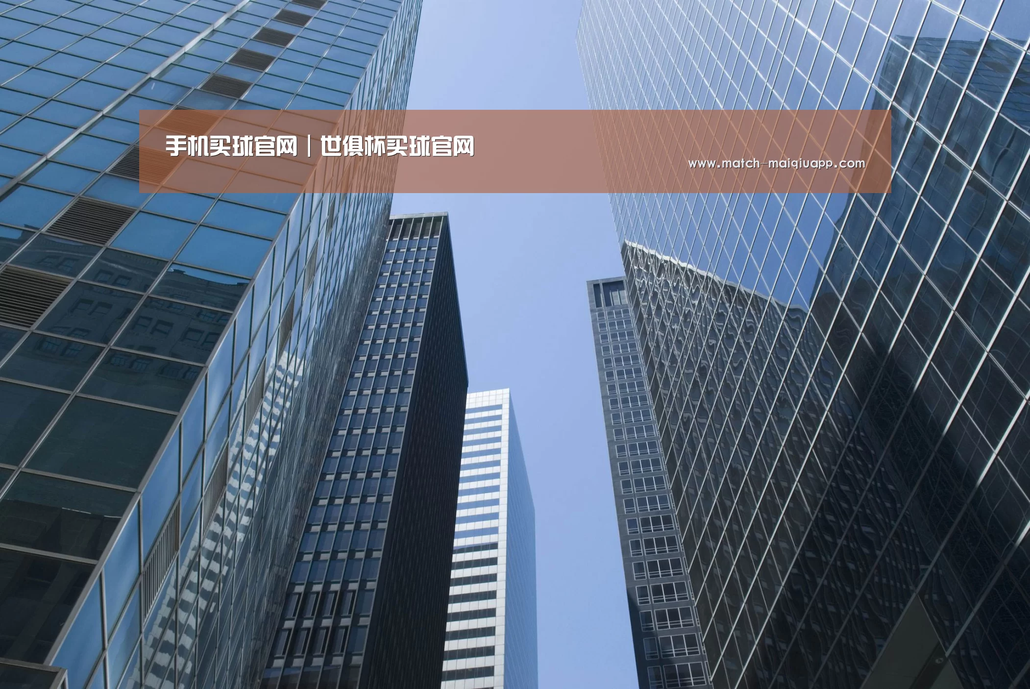 手机买球官网公司简介 