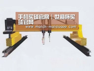 产品名称十七