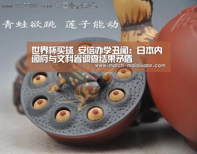 手机买球官网